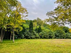 -汉长安城未央宫国家考古遗址公园