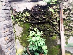 -恺庐茶园(宽窄巷子景区店)
