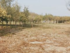 -天津东丽湖风景区