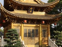 -上海东林寺(金山区)