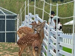 -渔岛海洋度假区