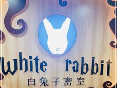 -白兔子密室(长寿路店)