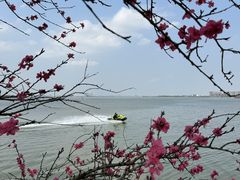 -瑶湖郊野森林公园