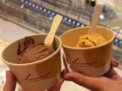 -LUNEURS月乐诗·法式冰淇淋(环贸店)