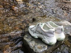 -江西阳明山国家森林公园