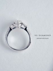-VE DIAMOND·天然&培育钻石定制