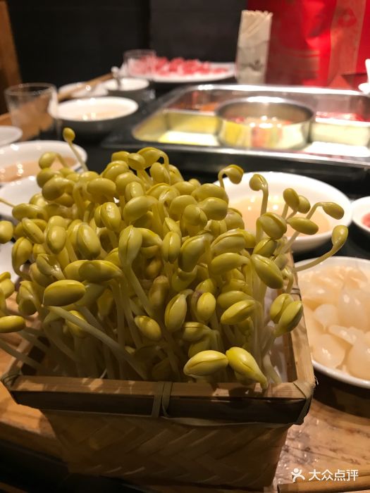 巴奴毛肚火锅(永明路店)-豆芽-菜-豆芽图片-安阳美食-大众点评网
