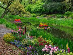 -上海共青森林公园