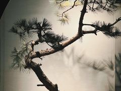 -山塘渡·苏式园林餐厅