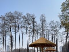 -武汉动物园