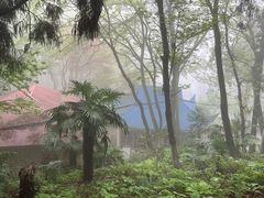 -莫干山风景区