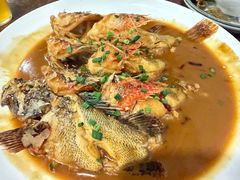红烧石九公-福建美食城(老君堂店)