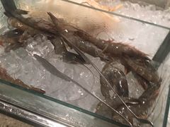 -富力希尔顿酒店·地阔自助餐厅