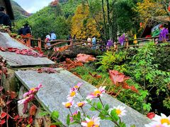 -藏龙百瀑风景区