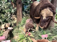 -陕西自然博物馆