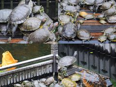 -佛山市祖庙博物馆