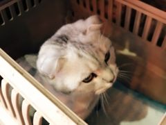 -MIKAKU(万达广场上海宝山店)