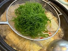 海菜（海发菜）-琼鲜记海南糟粕醋火锅