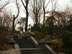 -西安市长乐公园