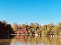 -上海吴淞炮台湾国家湿地公园