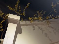 -春天来了(印象新天地店)