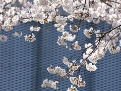 -龙美术馆(西岸馆)