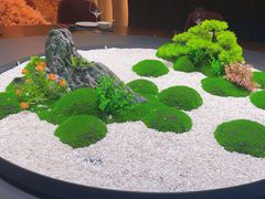-曼格纳·曼芯馆(杨浦店)