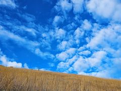 -萍乡武功山风景名胜区