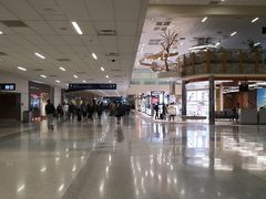 -达拉斯 沃斯堡国际机场