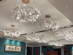 -侨美·唐荔园·40年地道粤菜