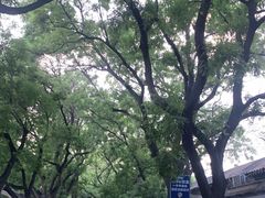 -北京国子监胡同