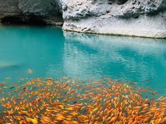 -楠溪江风景名胜区