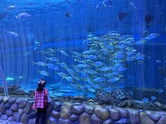 -华夏文旅海洋公园