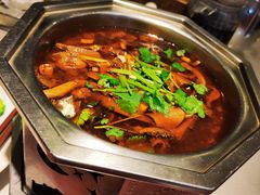 -凯鸽酒楼(操场城店)