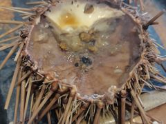 -海胆小馆(东北水饺·春柳店)