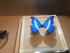 -青藏高原自然博物馆