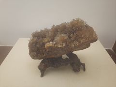 -成都中医药大学(温江校区)