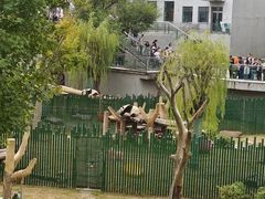-沈阳森林动物园