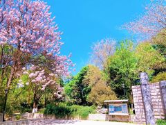 -丰台科技园生态主题公园