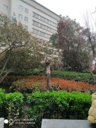 -河南中医药大学第一附属医院-医疗整形