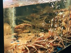 -蟹之国·精品蟹料理(极地店)