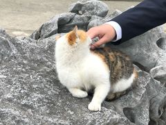 -上海市龙华烈士陵园