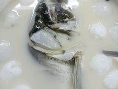 -御龙宴