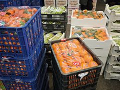 -西郊国际农产品交易中心