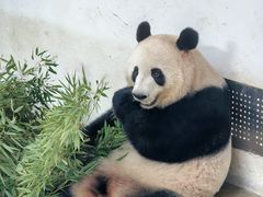 -杭州动物园
