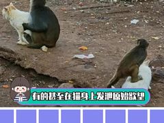 -昆明动物园