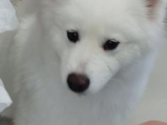 -怪兽屋·羊驼·猫咖·狗咖(俊华广场店)