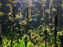 -成都浩海立方海洋公园