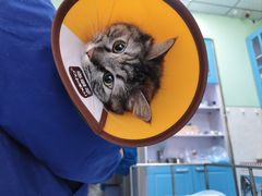 -天津前进宠物医院(前进道店)