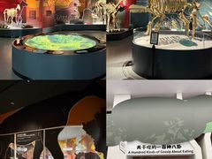 -厦门诚毅自然探索馆